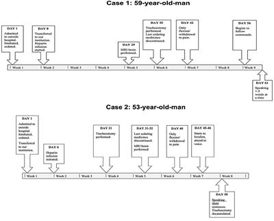 Case Series: Evidence of Borderzone Ischemia in Critically-Ill COVID-19 Patients Who “Do Not Wake Up”